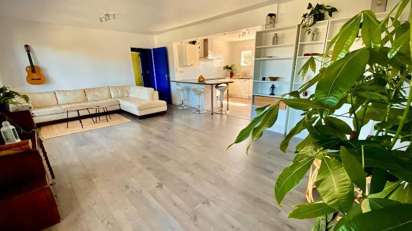 Готель Sewa Surf House 10Min De Capbreton Hossegor Benesse-Maremne Екстер'єр фото