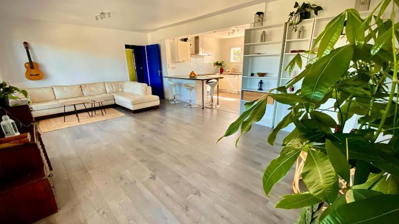 Готель Sewa Surf House 10Min De Capbreton Hossegor Benesse-Maremne Екстер'єр фото